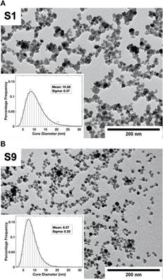 Probing magnetization dynamics of iron oxide nanoparticles using a point-probe magneto-optical method